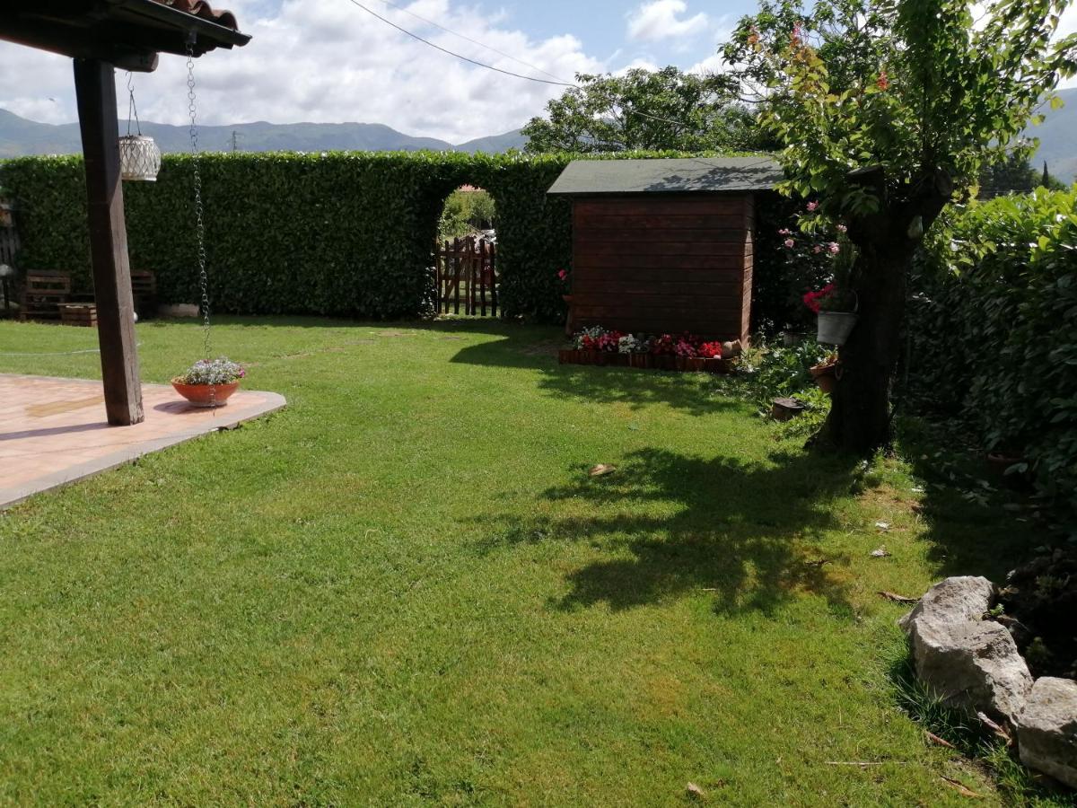 B&B Il Tiglio Padula Exteriör bild