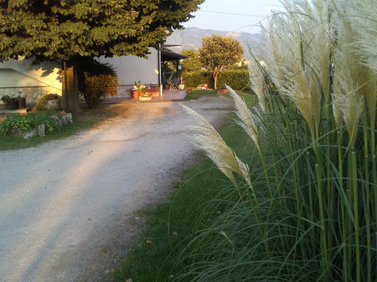 B&B Il Tiglio Padula Exteriör bild